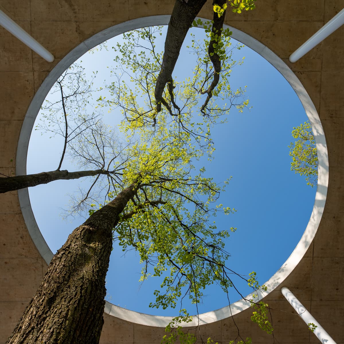 Scalable Structural LLC